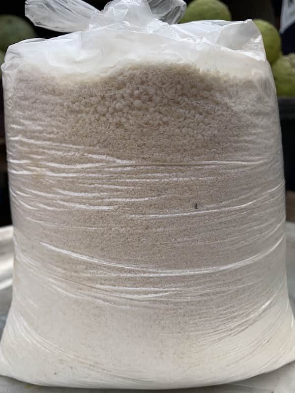 Gari