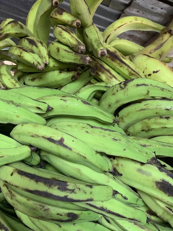 Plantain