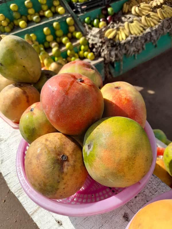 Mangoes