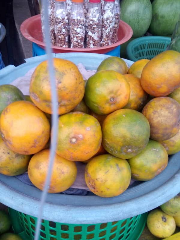 Oranges
