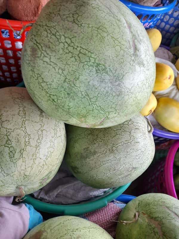 Melon