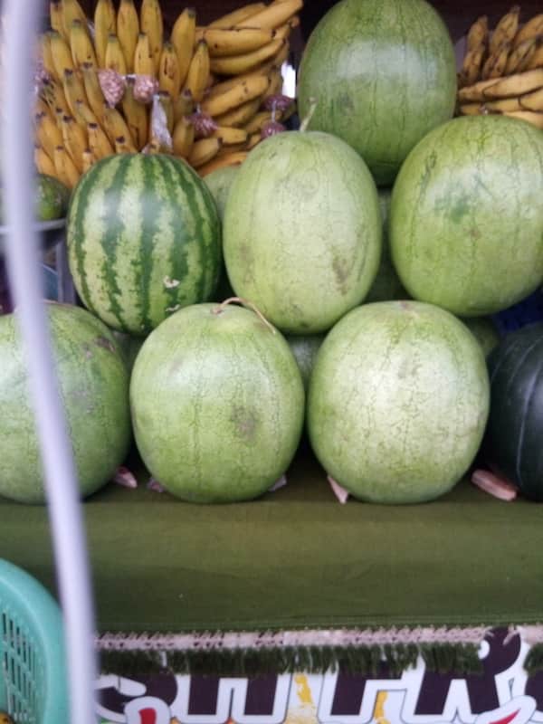 watermelon