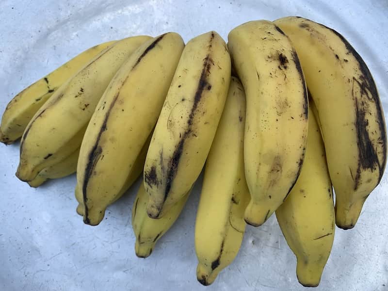 Banana