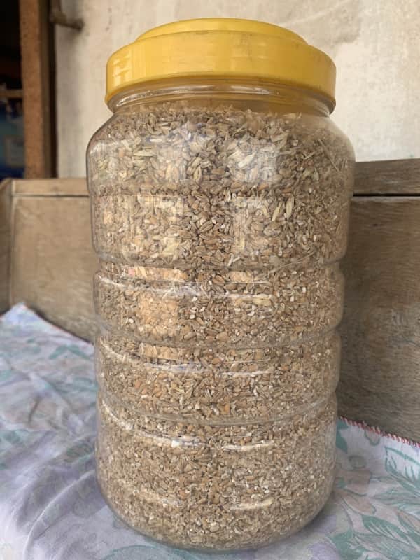 Wheat