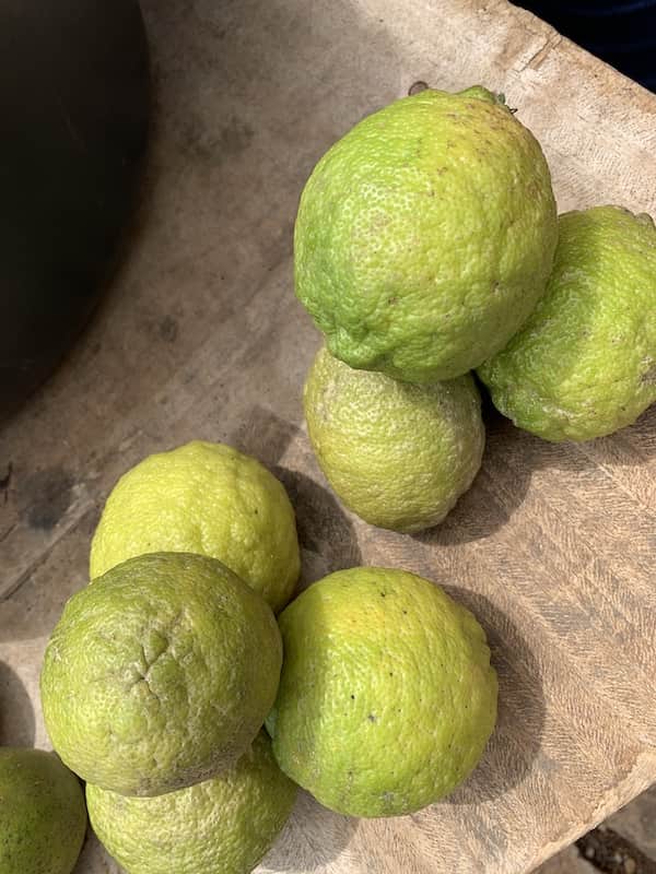 Lemon