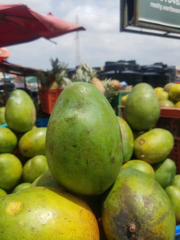 Mango