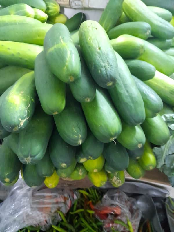 Cucumber