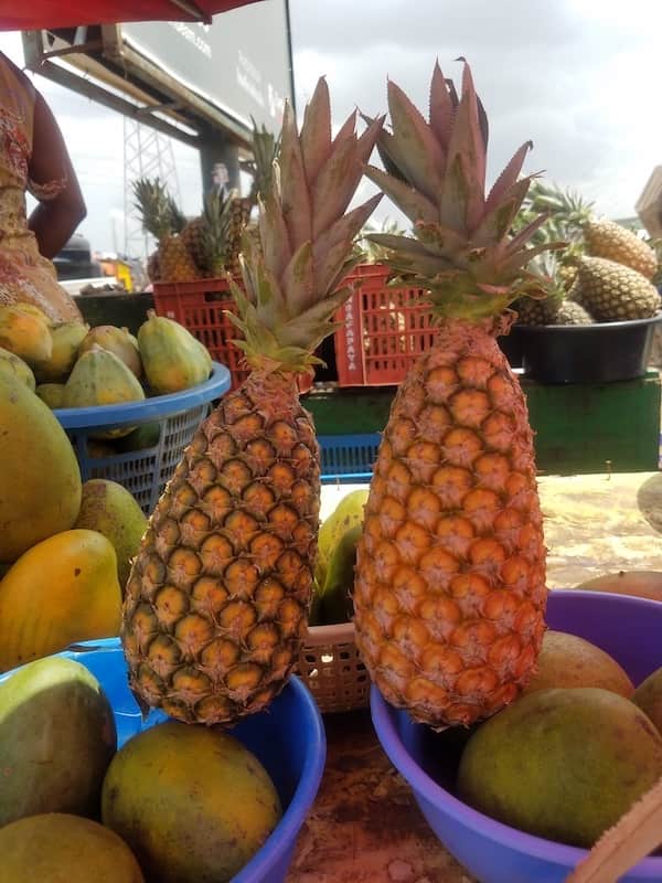 Pineapple