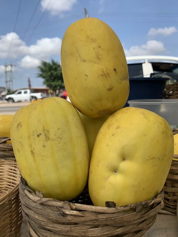 Yellow Melon