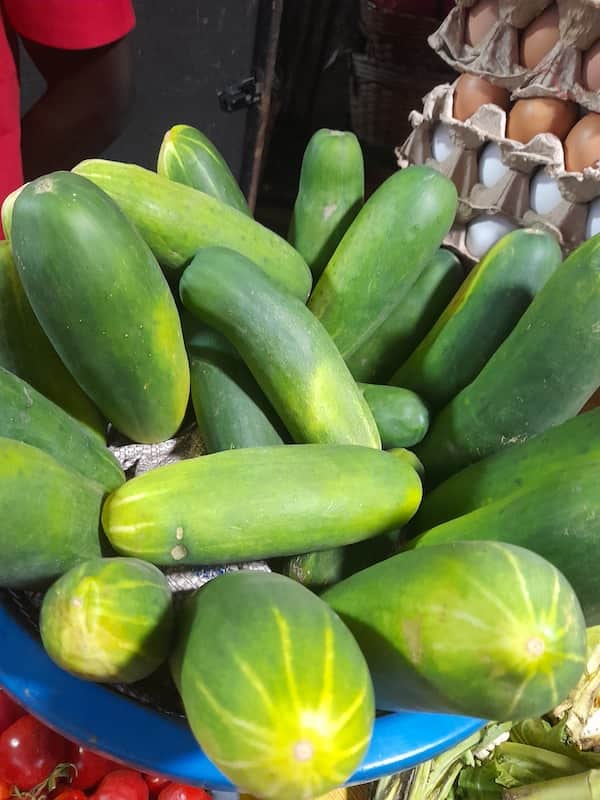 Cucumber