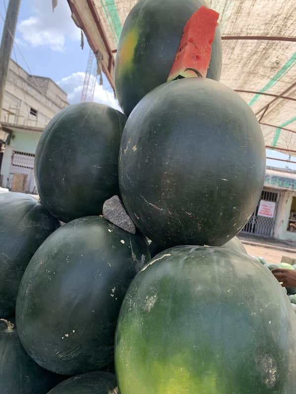 Water Melon 