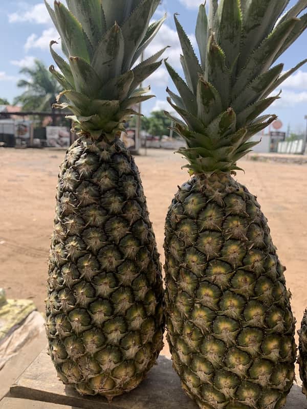 Pineapple