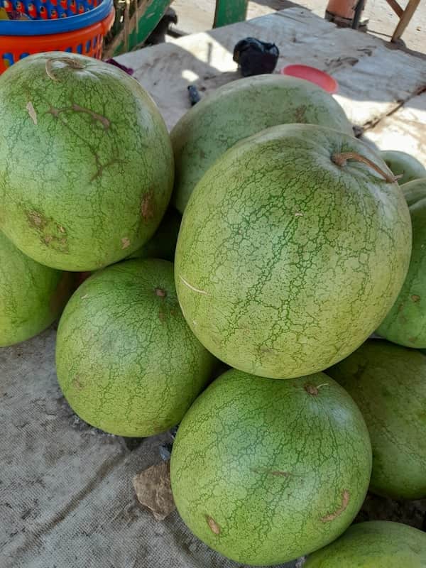 Watermelon