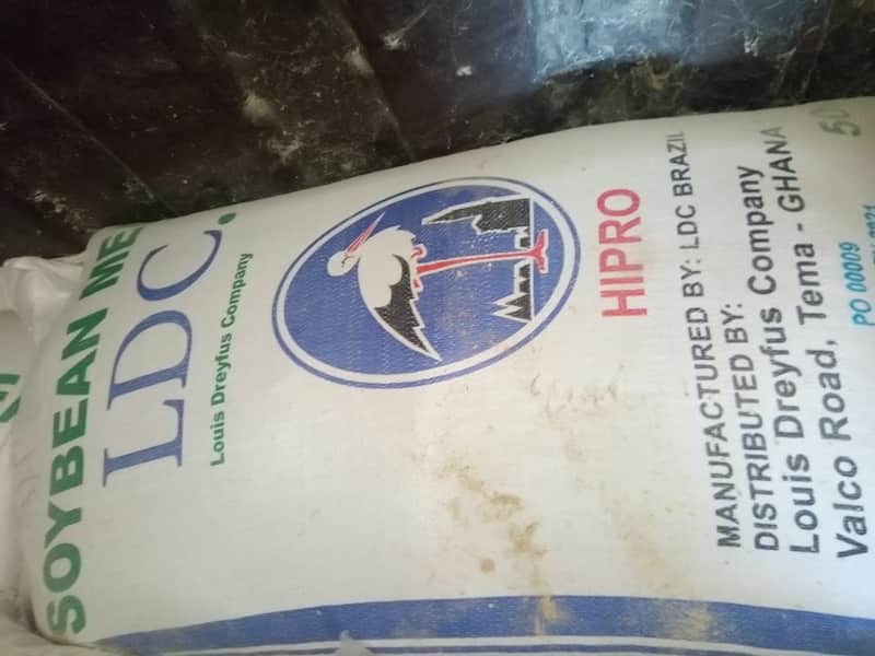 soya feed