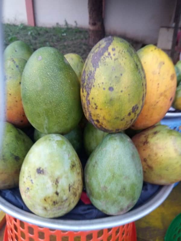 Mangoes