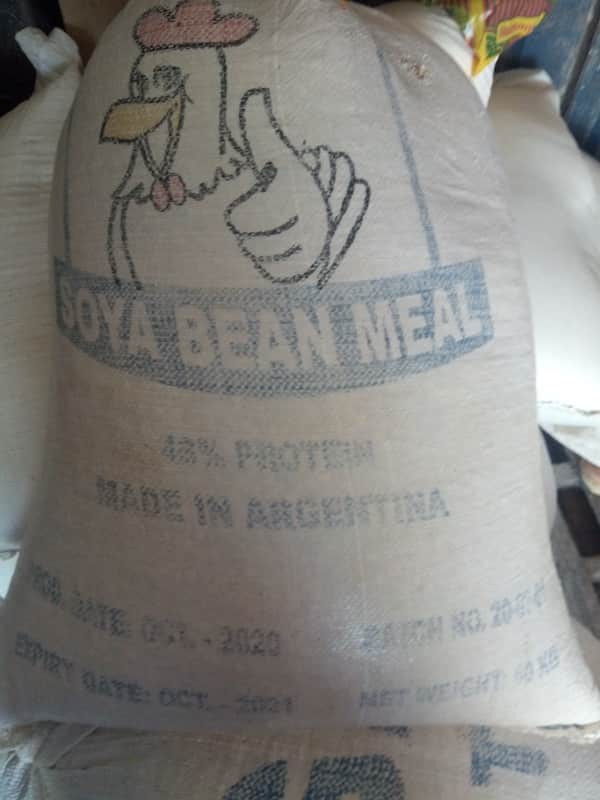 maize feed