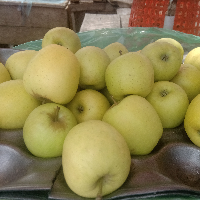 Apples