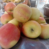 Apples