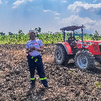 tractor services ~ ploughing, harrowing and carting 