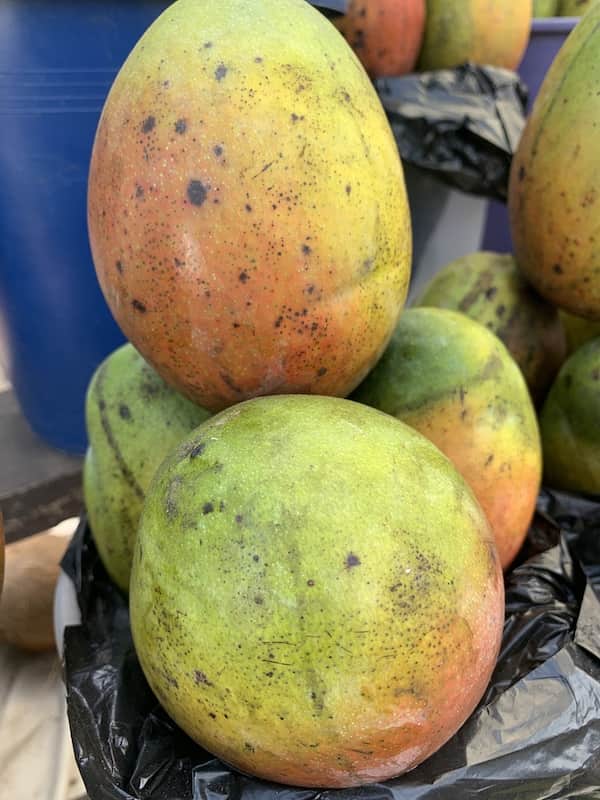 Mango