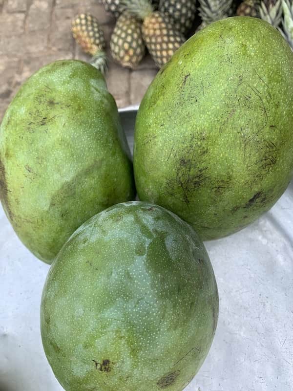 Mango