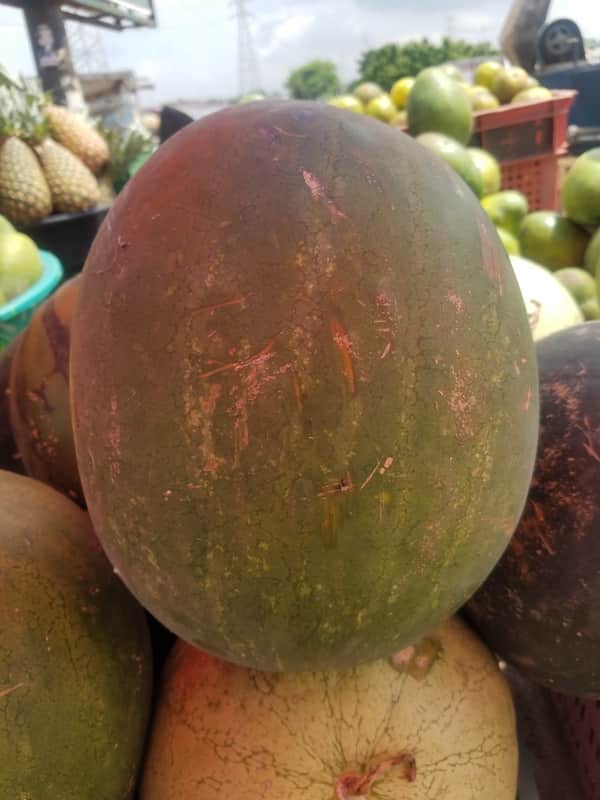 Water Melon 