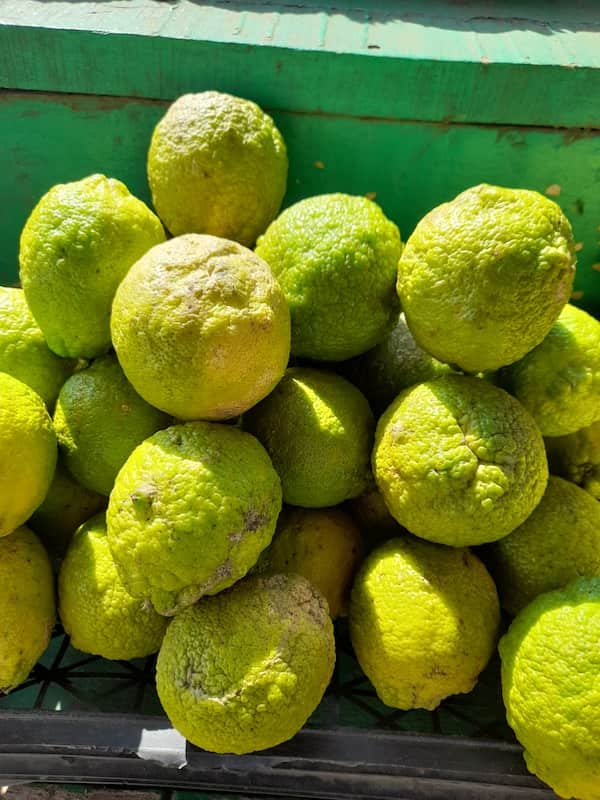 Lemon