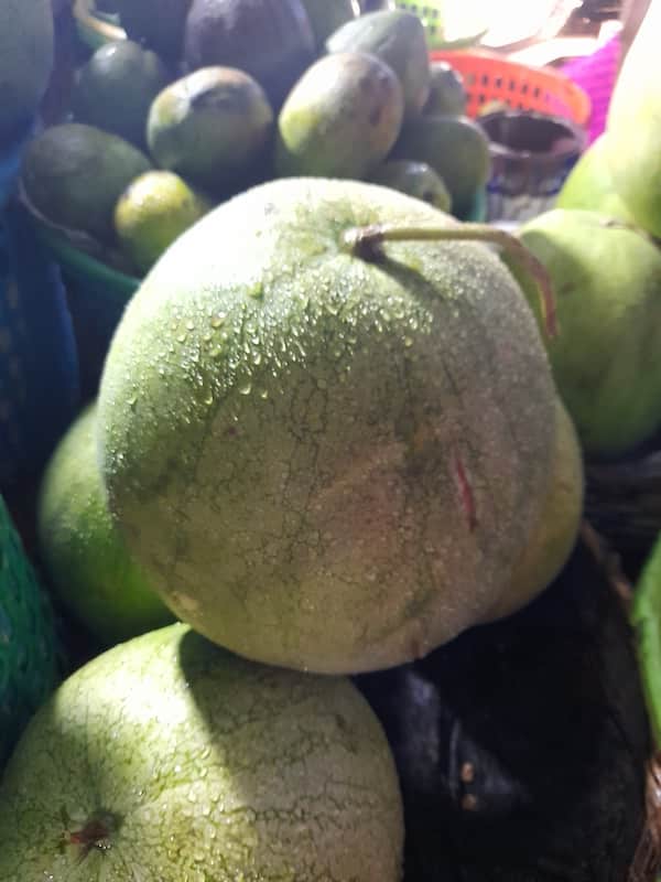 Water Melon