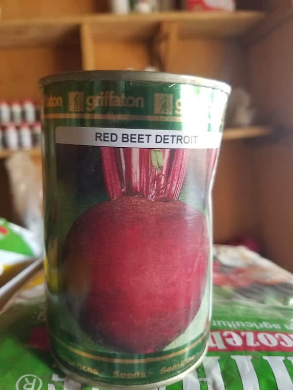 Beetroot seed