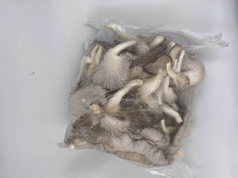 Fresh Mushrooms