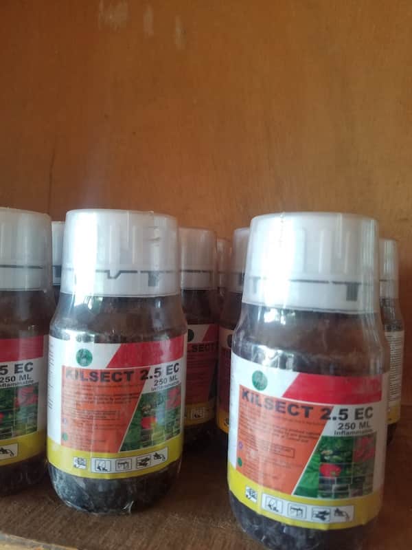 Kilsect Insecticide