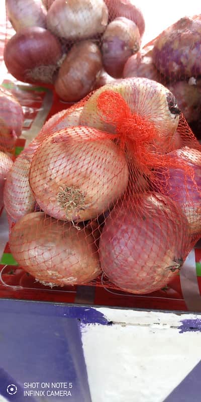 Onion