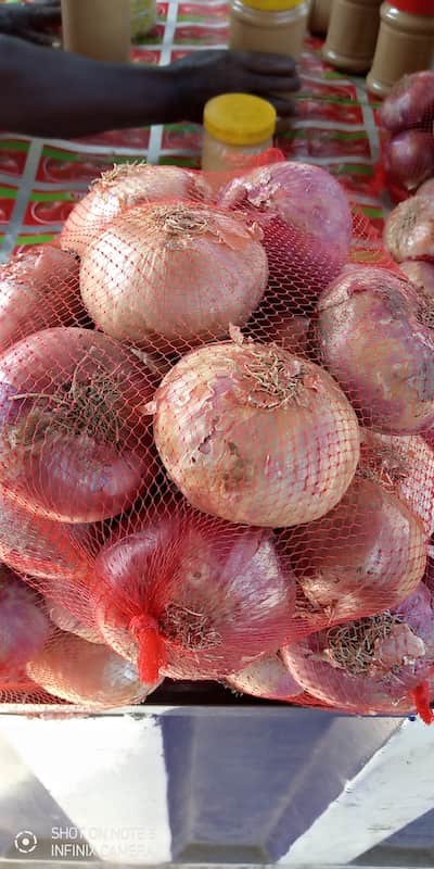 Onion