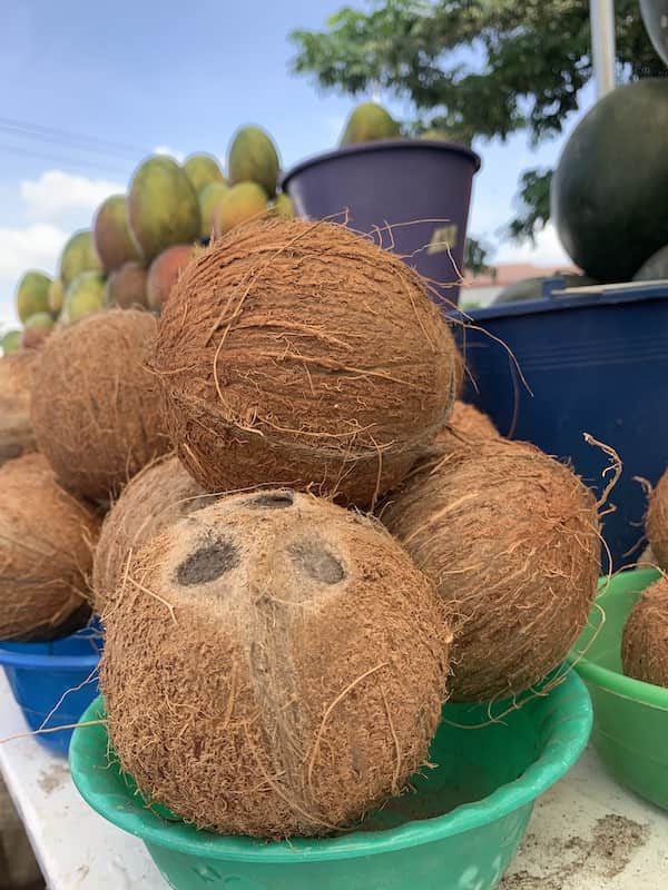 Dry Coconut