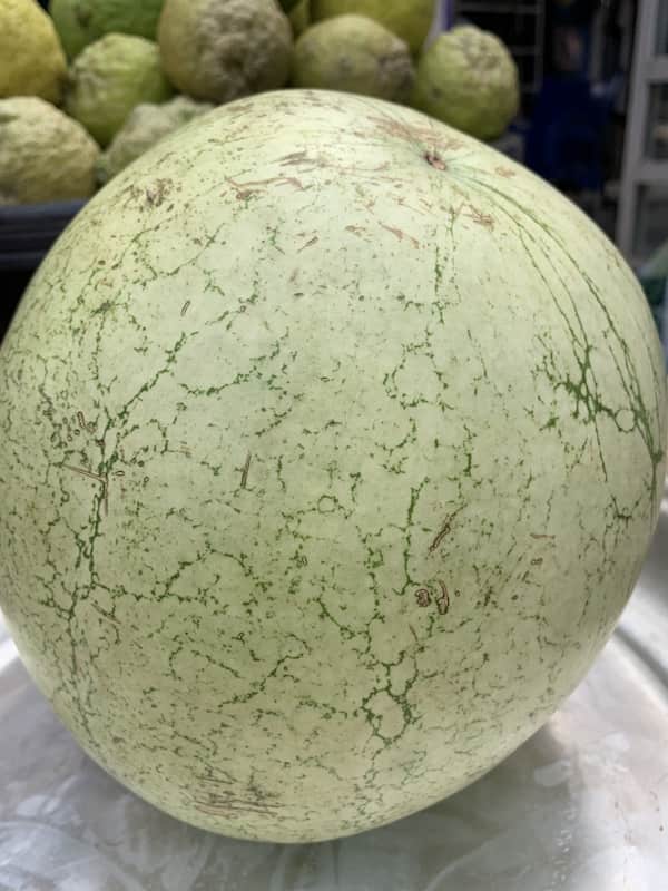 Water Melon 