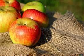 Appless
